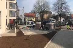 IMG-20190301-WA0005