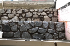 IMG-20190318-WA0001