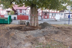 DSCN2630