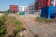 DSCN3070