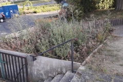 IMG-20190808-WA0016